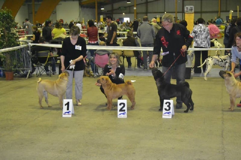 Délice Du grand baronnet - 2ème excellente