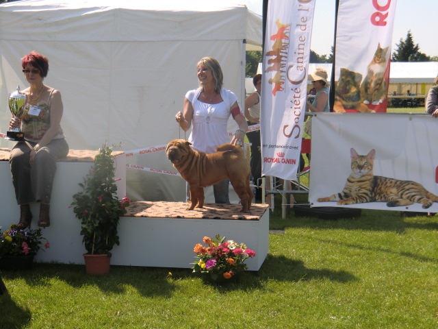 Délice Du grand baronnet - MEILLEUR DE RACE - CACS - 3ème du groupe 2 - 1ère excellente
