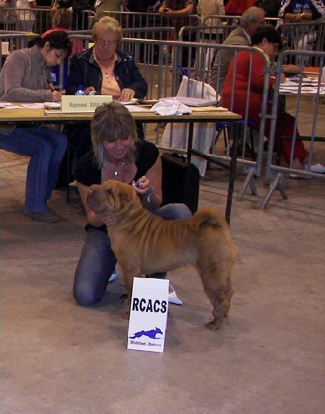 Délice Du grand baronnet - 1ère excellente R.CACS