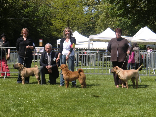 Délice Du grand baronnet - 1ère Excellente - CACS - MEILLEURE DE RACE