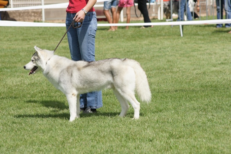 Publication : of Arctic Glance Auteur : Laetitia Rietsch