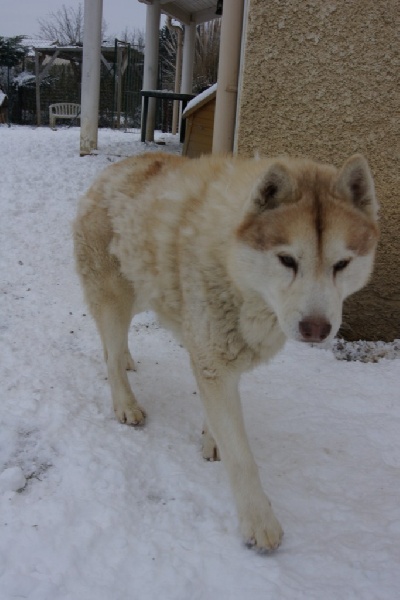 Publication : of Arctic Glance Auteur : Laetitia Rietsch