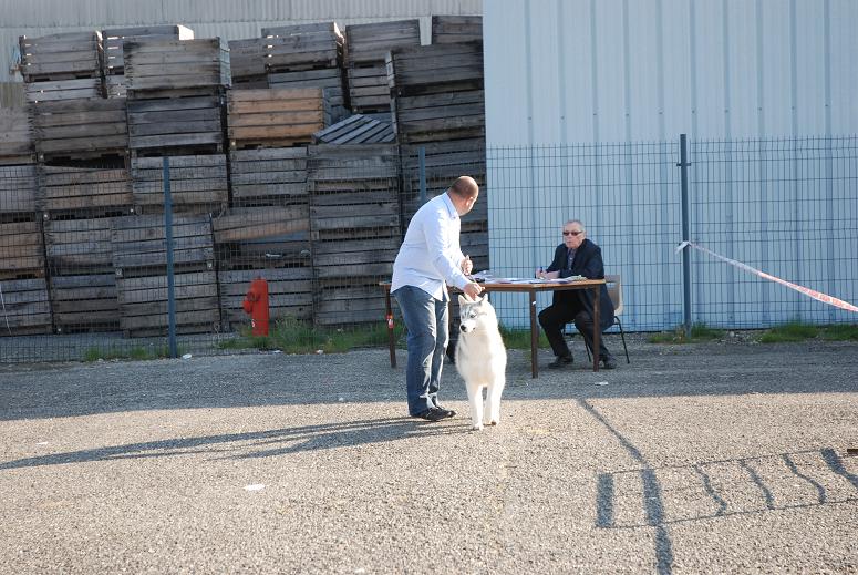 Publication : of Arctic Glance Auteur : Laetitia Rietsch