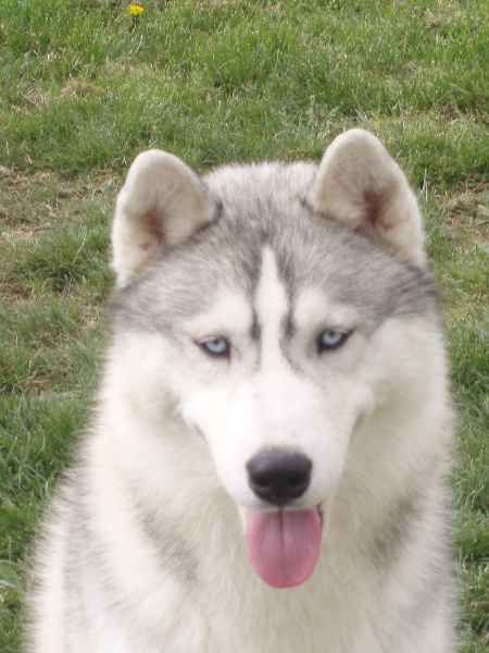 Publication : of Arctic Glance Auteur : Laetitia Rietsch