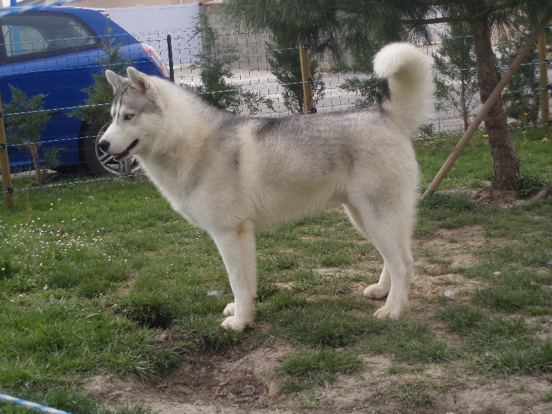 Publication : of Arctic Glance Auteur : Laetitia Rietsch