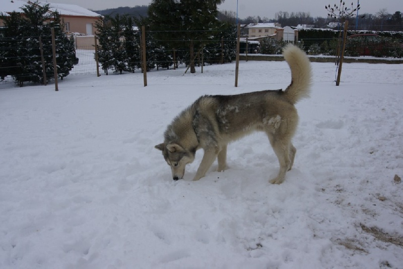 Publication : of Arctic Glance Auteur : Laetitia Rietsch