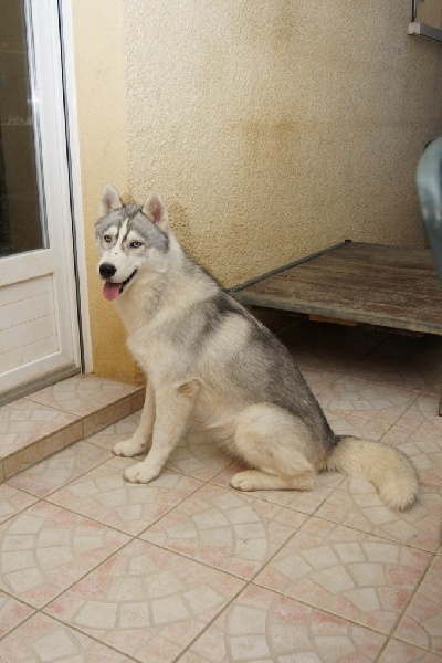 Publication : of Arctic Glance Auteur : Laetitia Rietsch