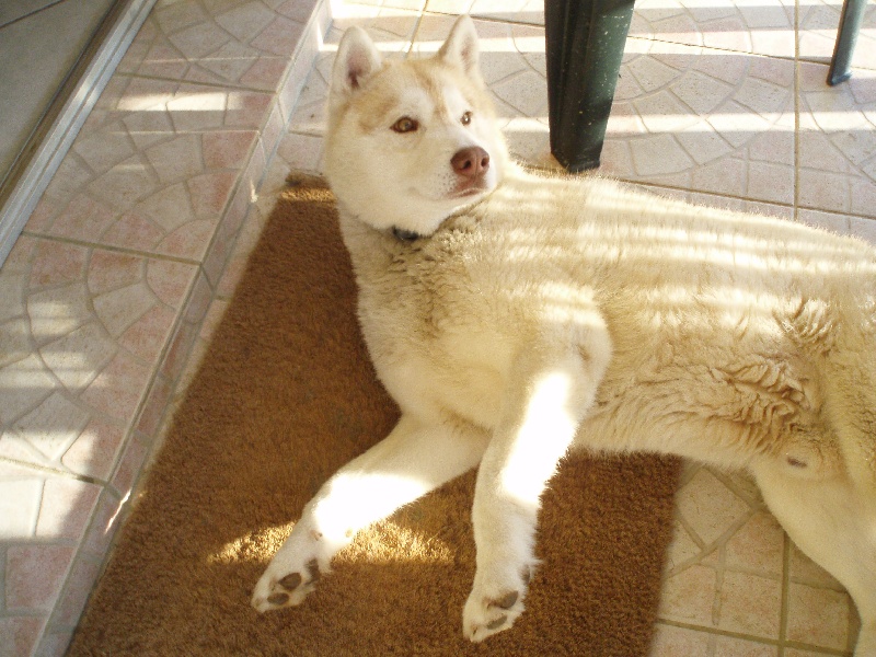 Publication : of Arctic Glance Auteur : Laetitia Rietsch