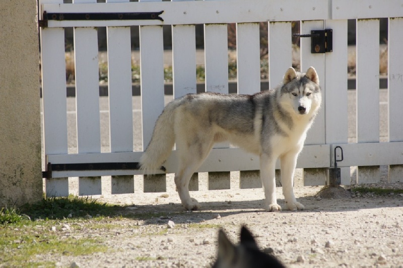 Publication : of Arctic Glance Auteur : Laetitia Rietsch