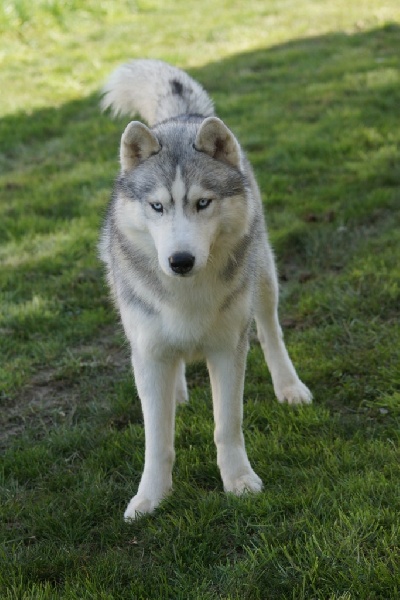 Publication : of Arctic Glance Auteur : Laetitia Rietsch