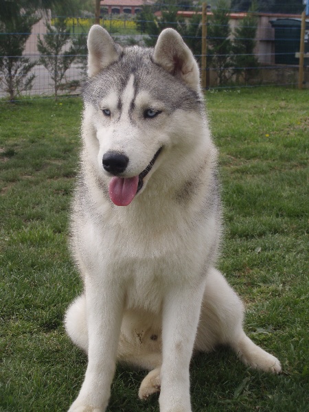 Publication : of Arctic Glance Auteur : Laetitia Rietsch