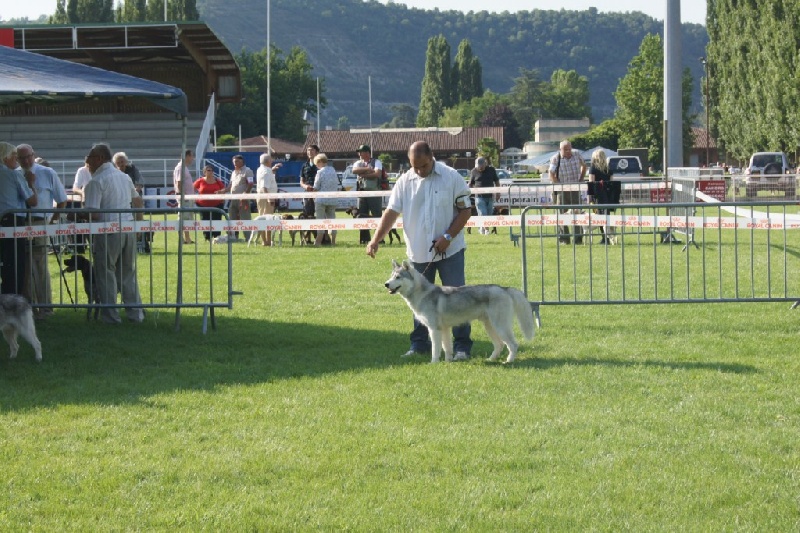 Publication : of Arctic Glance Auteur : Laetitia Rietsch
