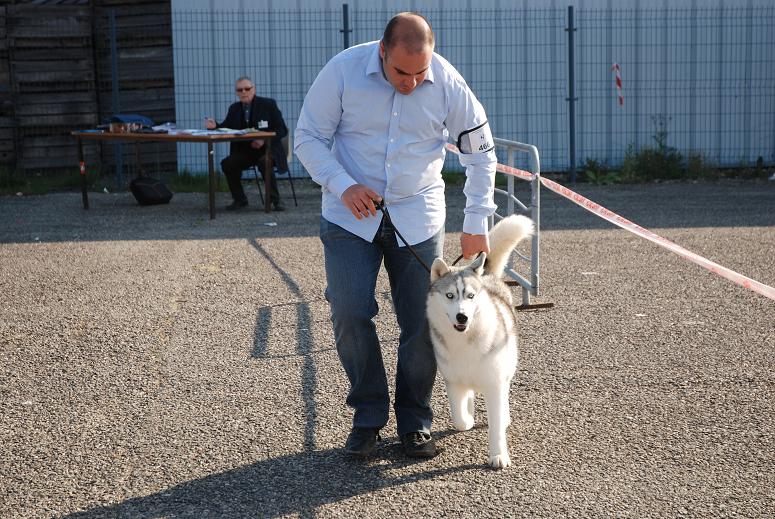 Publication : of Arctic Glance Auteur : Laetitia Rietsch