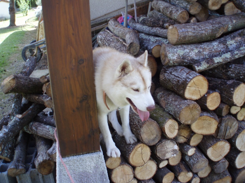 Publication : of Arctic Glance Auteur : Laetitia Rietsch