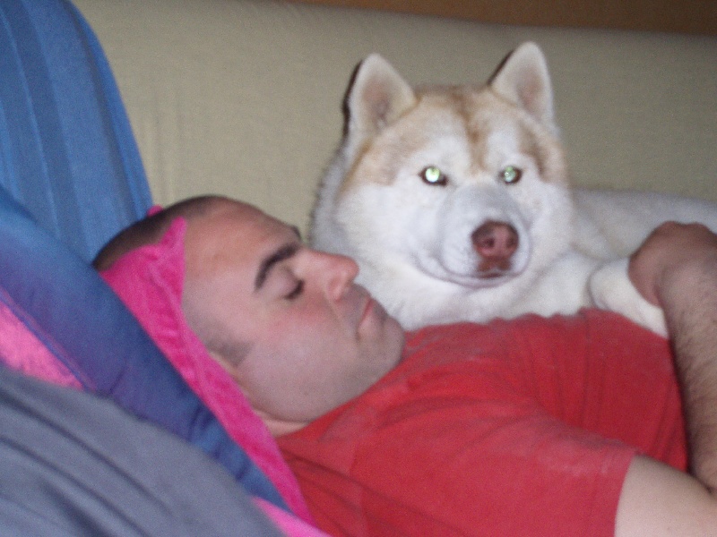 Publication : of Arctic Glance Auteur : Laetitia Rietsch