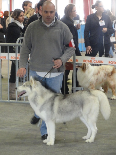 Publication : of Arctic Glance Auteur : Laetitia Rietsch