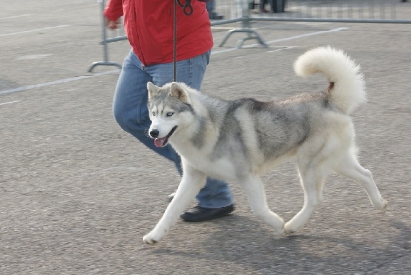 Publication : of Arctic Glance Auteur : Laetitia Rietsch