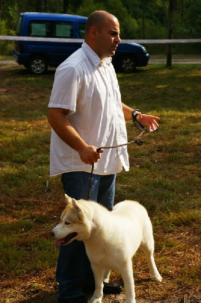 Publication : of Arctic Glance Auteur : Laetitia Rietsch