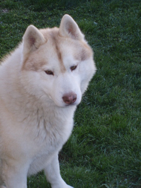 Publication : of Arctic Glance Auteur : Laetitia Rietsch