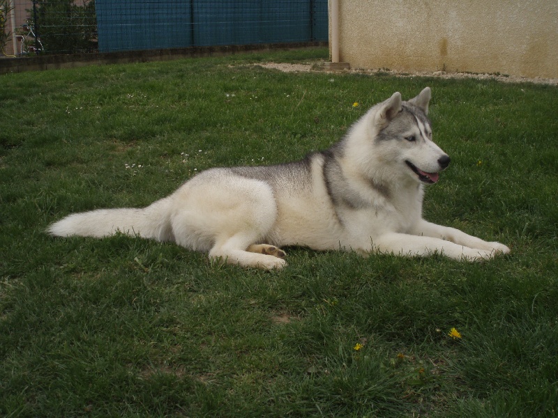 Publication : of Arctic Glance Auteur : Laetitia Rietsch