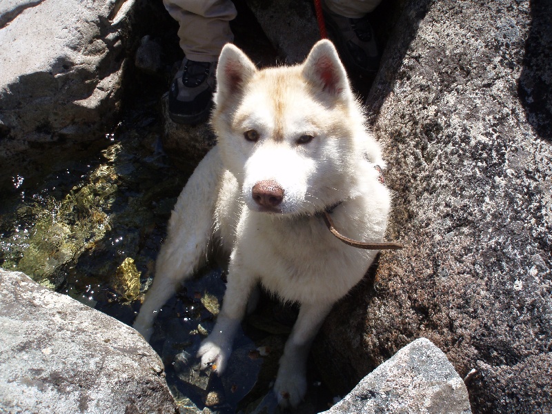 Publication : of Arctic Glance Auteur : Laetitia Rietsch