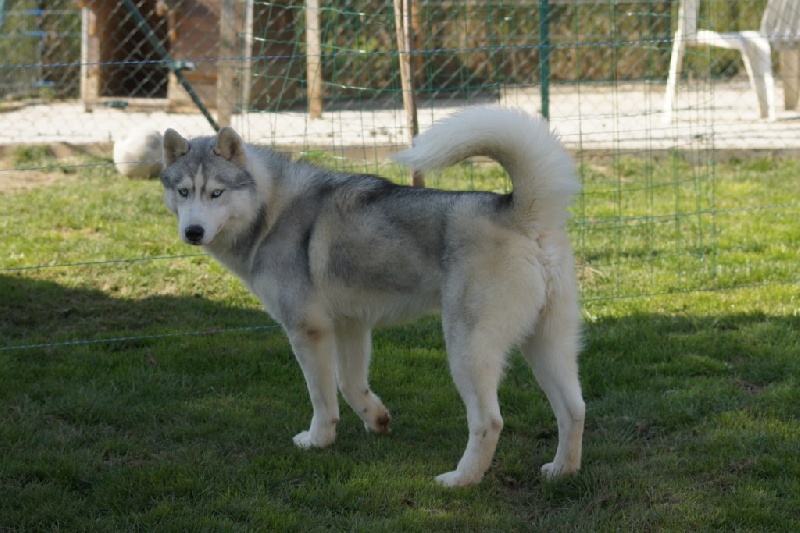 Publication : of Arctic Glance Auteur : Laetitia Rietsch