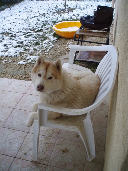 Publication : of Arctic Glance Auteur : Laetitia Rietsch