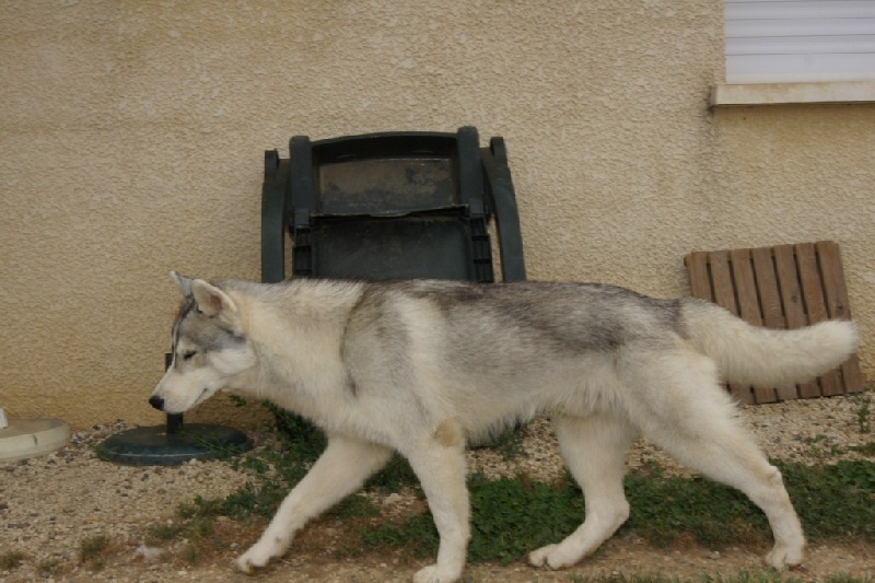 Publication : of Arctic Glance Auteur : Laetitia Rietsch