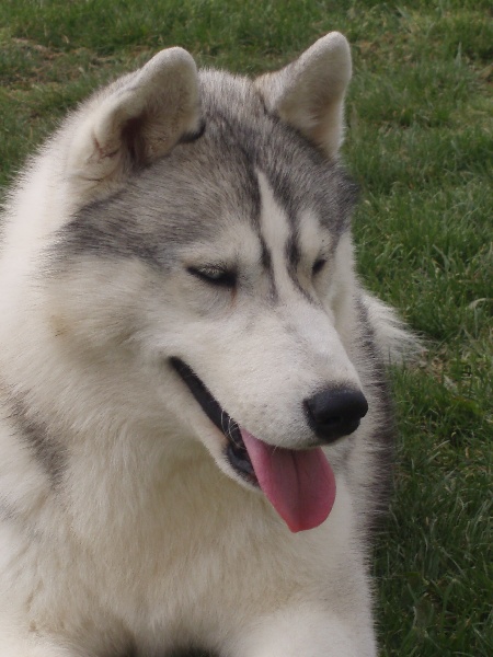 Publication : of Arctic Glance Auteur : Laetitia Rietsch