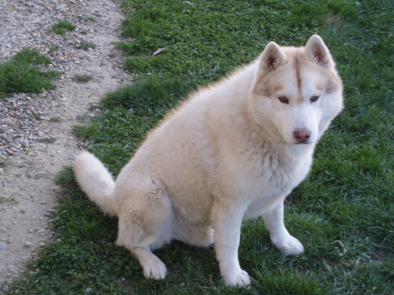 Publication : of Arctic Glance Auteur : Laetitia Rietsch