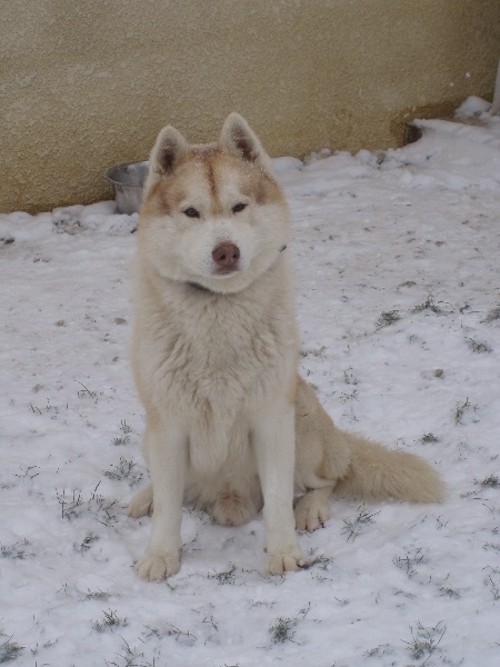 Publication : of Arctic Glance Auteur : Laetitia Rietsch