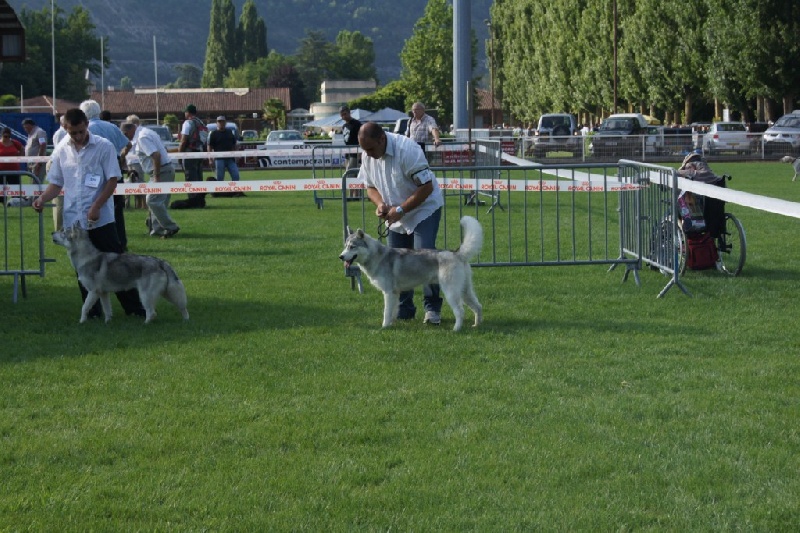 Publication : of Arctic Glance Auteur : Laetitia Rietsch