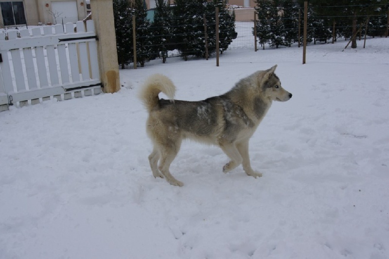 Publication : of Arctic Glance Auteur : Laetitia Rietsch