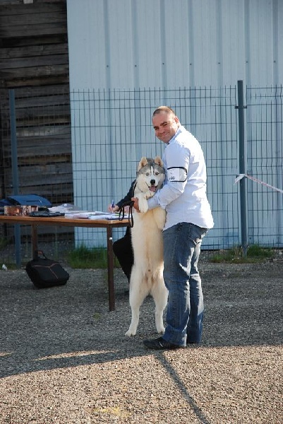 Publication : of Arctic Glance Auteur : Laetitia Rietsch