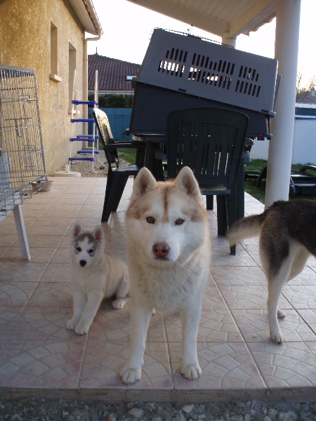 Publication : of Arctic Glance Auteur : Laetitia Rietsch