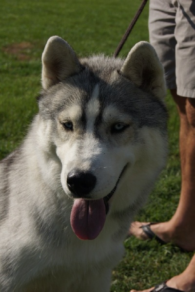 Publication : of Arctic Glance Auteur : Laetitia Rietsch