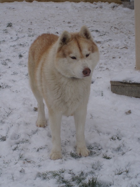 Publication : of Arctic Glance Auteur : Laetitia Rietsch