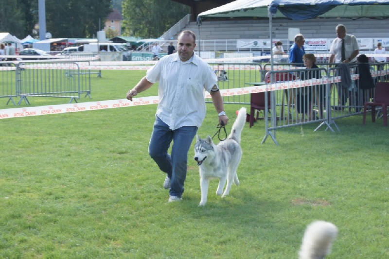 Publication : of Arctic Glance Auteur : Laetitia Rietsch