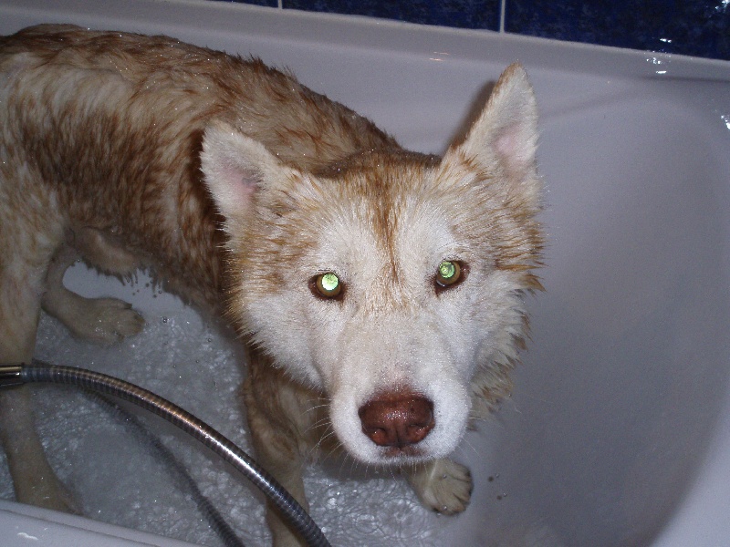 Publication : of Arctic Glance Auteur : Laetitia Rietsch