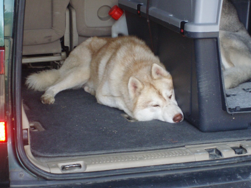 Publication : of Arctic Glance Auteur : Laetitia Rietsch