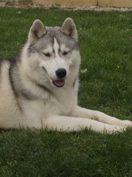 Publication : of Arctic Glance Auteur : Laetitia Rietsch