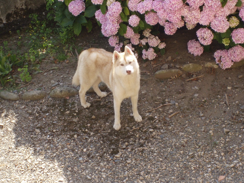 Publication : of Arctic Glance Auteur : Laetitia Rietsch