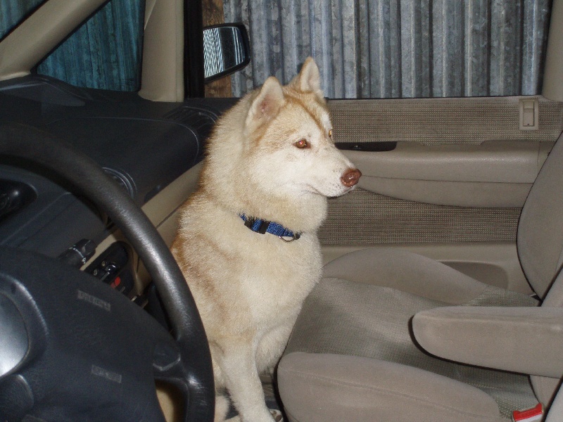 Publication : of Arctic Glance Auteur : Laetitia Rietsch