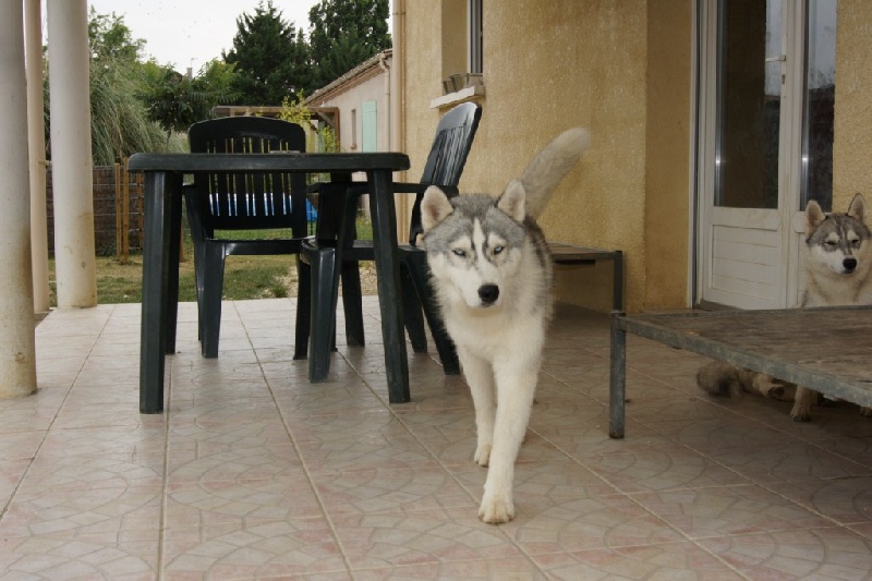 Publication : of Arctic Glance Auteur : Laetitia Rietsch