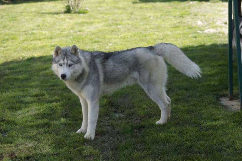 Publication : of Arctic Glance Auteur : Laetitia Rietsch