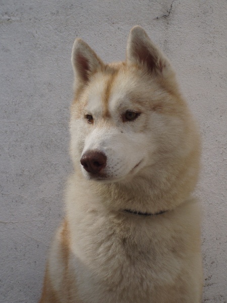 Publication : of Arctic Glance Auteur : Laetitia Rietsch