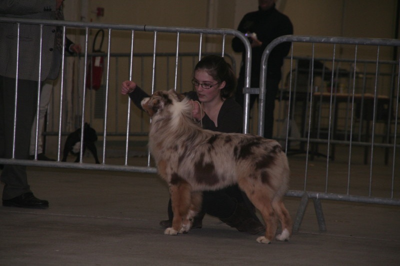 Delbret's Early red sunset - 1er Excellent classe jeune