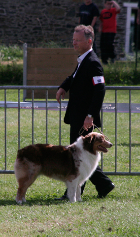 American sheena'ndoah des Chemins Cathares - 9ème excellent classe ouverte