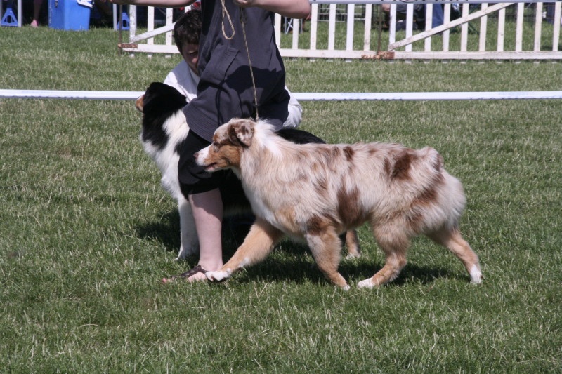 Delbret's Early red sunset - Très Prometteur
