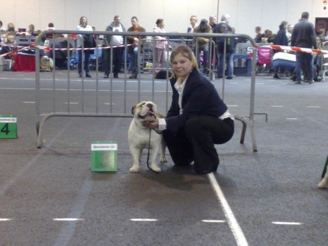 Kingston bull's Hannelore - 3eme tres bon